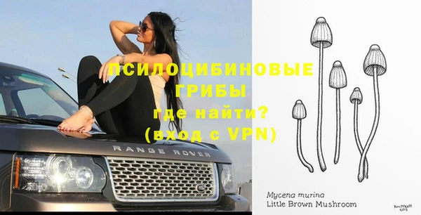 a pvp Арсеньев