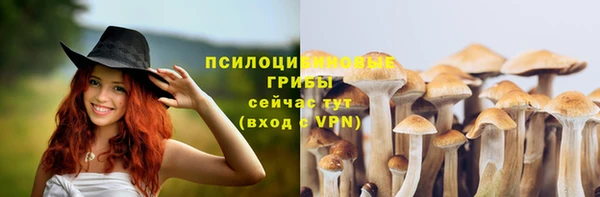 тгк Балабаново