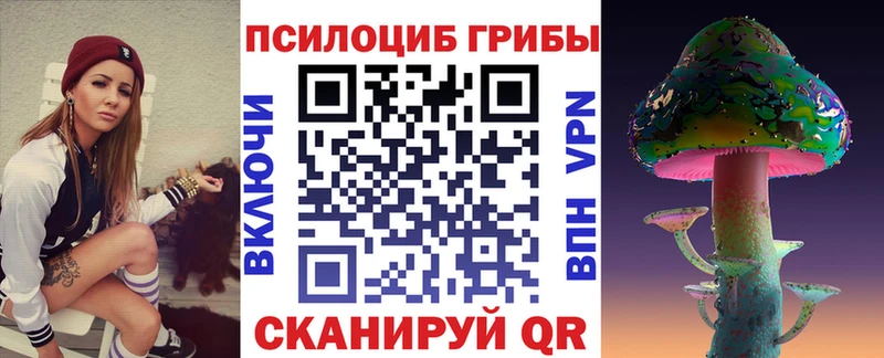 гидра рабочий сайт  Уссурийск  Псилоцибиновые грибы прущие грибы  где можно купить  