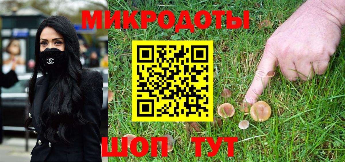 Галлюциногенные грибы Psilocybe Уссурийск